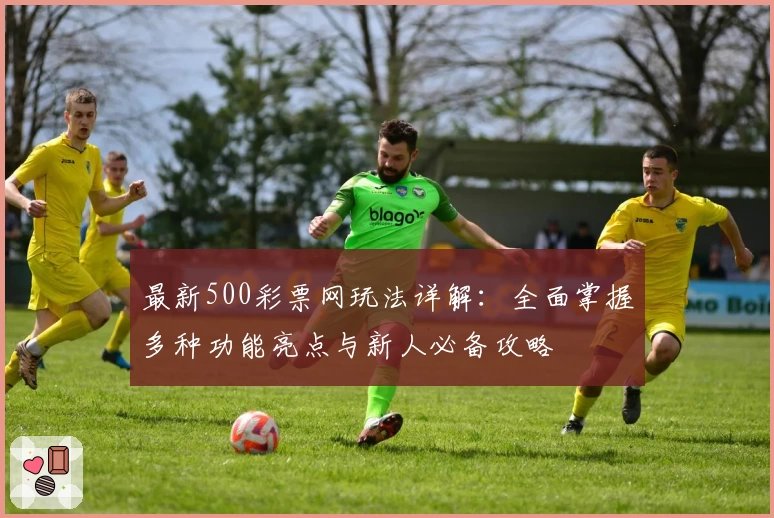 最新500彩票网玩法详解：全面掌握多种功能亮点与新人必备攻略